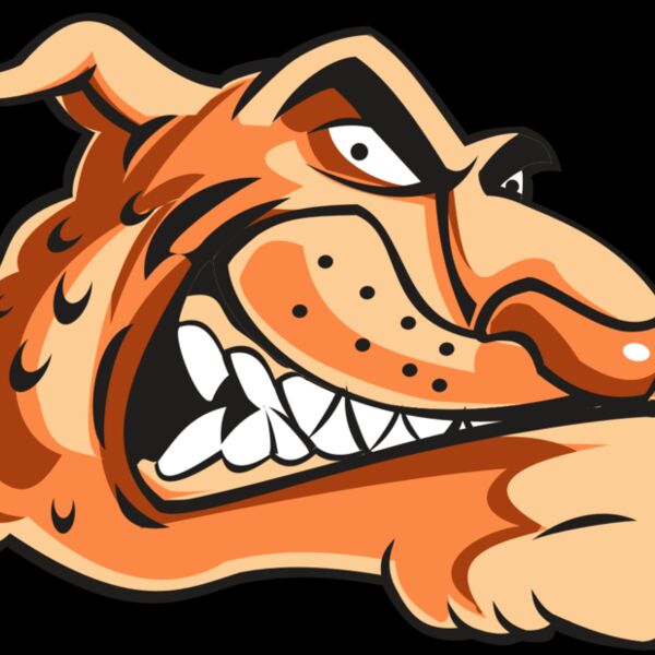 CHEETAH HD0503 RQC Thumbnail