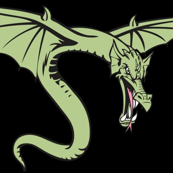 BAW DRAGON 08 RC Thumbnail