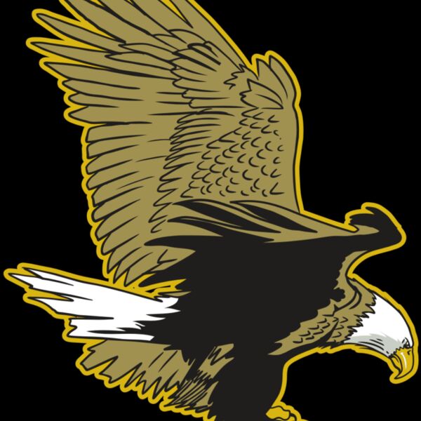 AR10 EAGLE 01 RQC Thumbnail