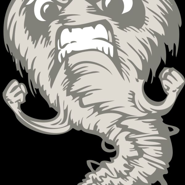 BAW STORM 07 RC Thumbnail